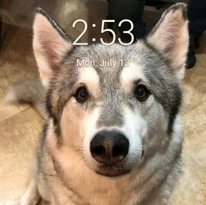 Meet your Posher, Michael